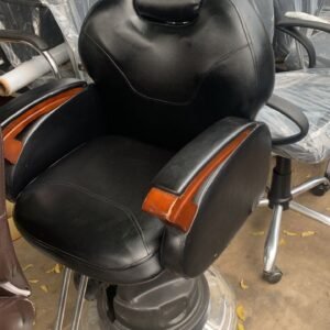Salon Chair