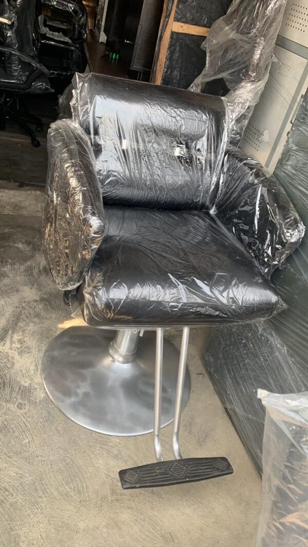 Salon Chair